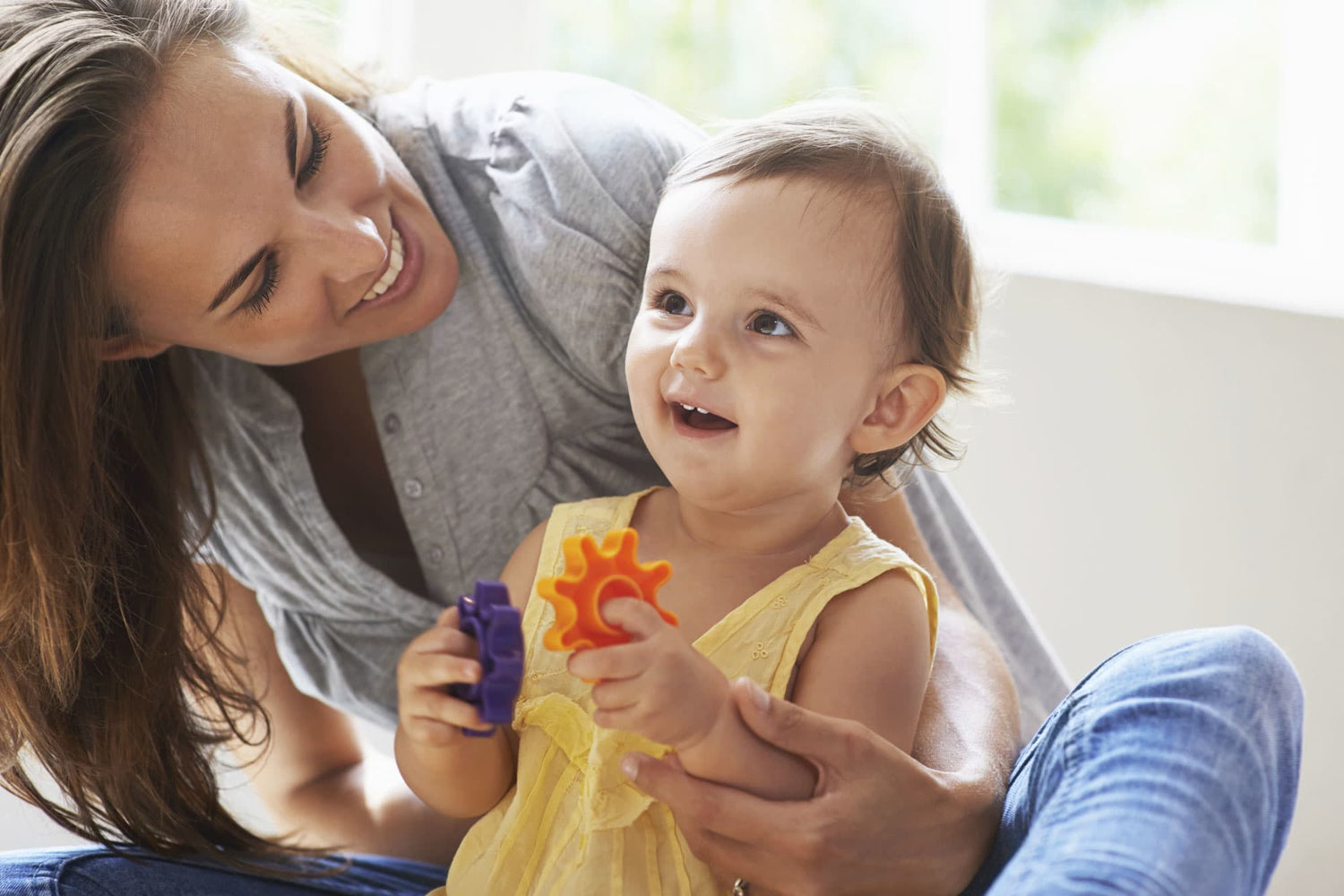 Image with text section