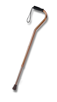 Bastón Cisne 1 Apoyo